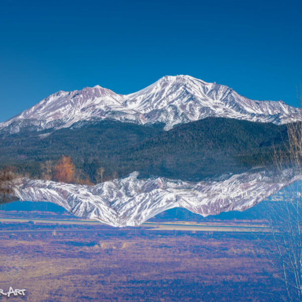 Mount Shasta